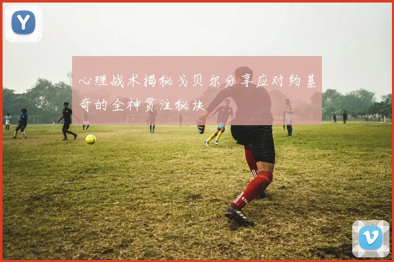 心理战术揭秘戈贝尔分享应对约基奇的全神贯注秘诀