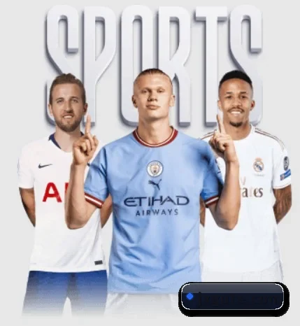 关于我们 - 体育资讯内容服务